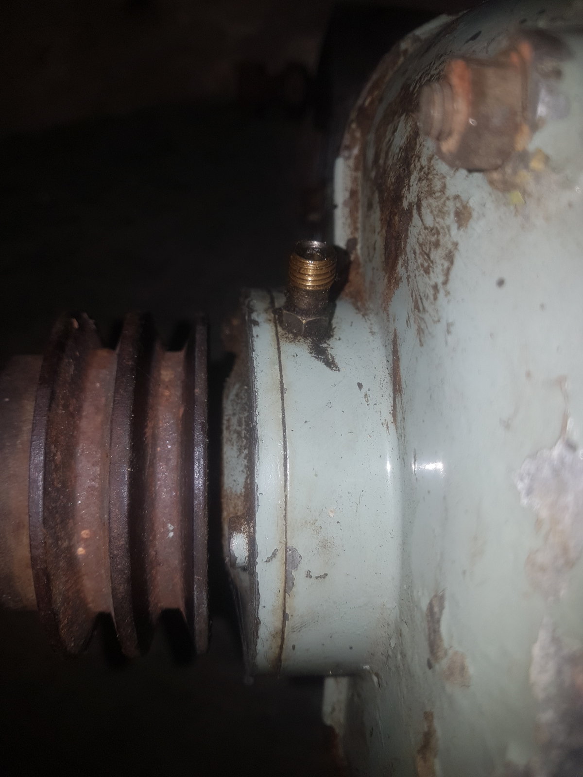 20190521_154819.jpg