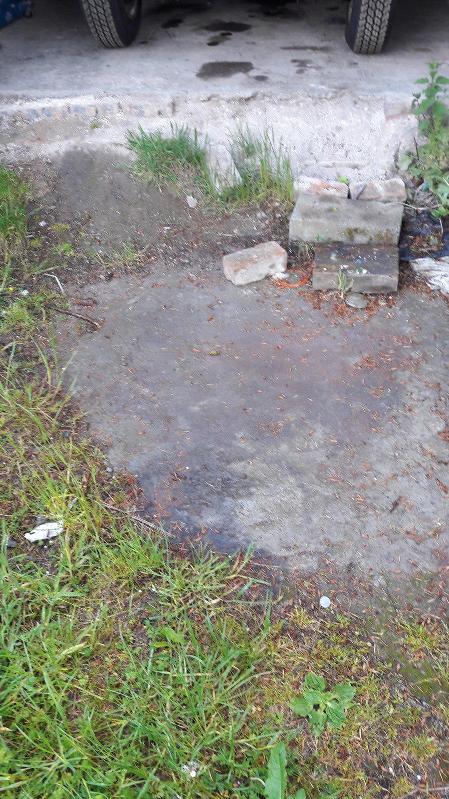 20190603_184956.jpg