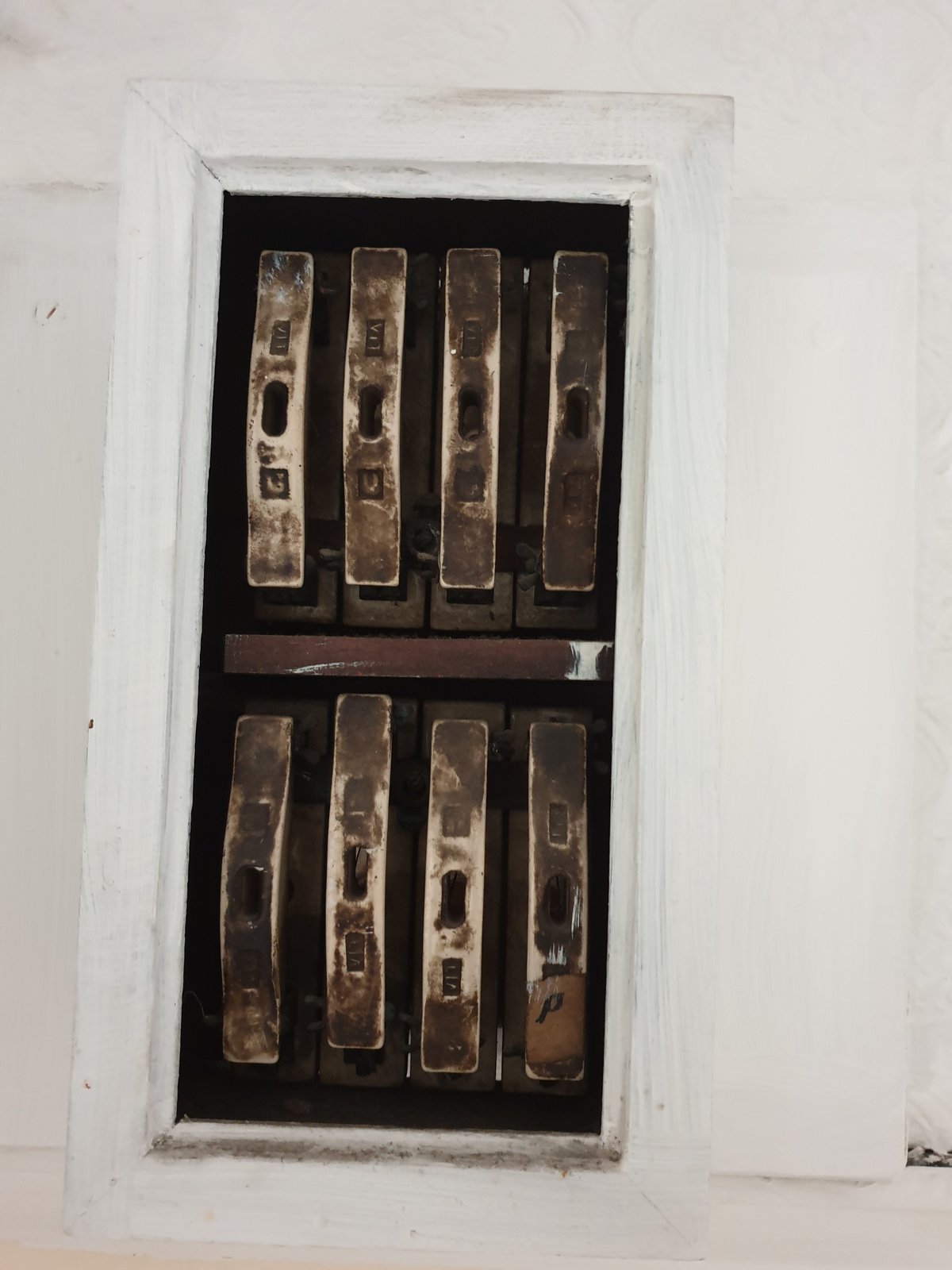 20190606_152330.jpg