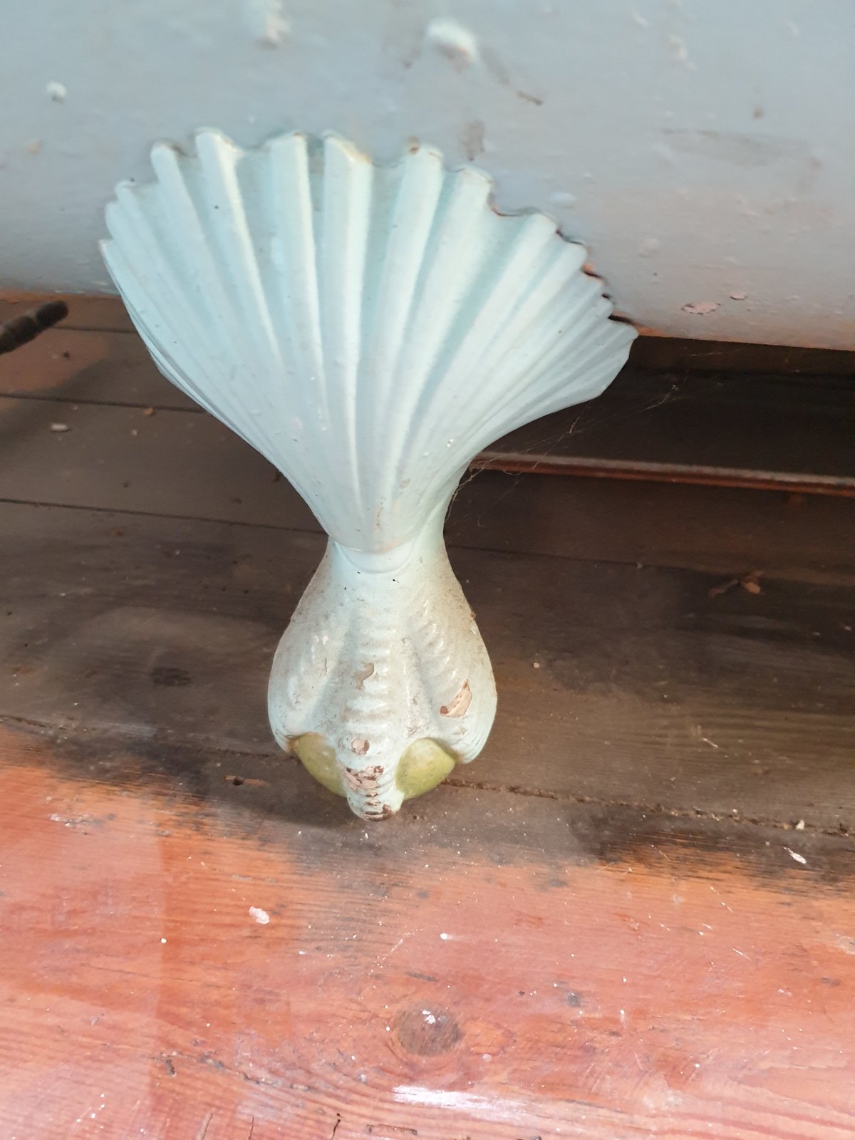 20190607_111046.jpg