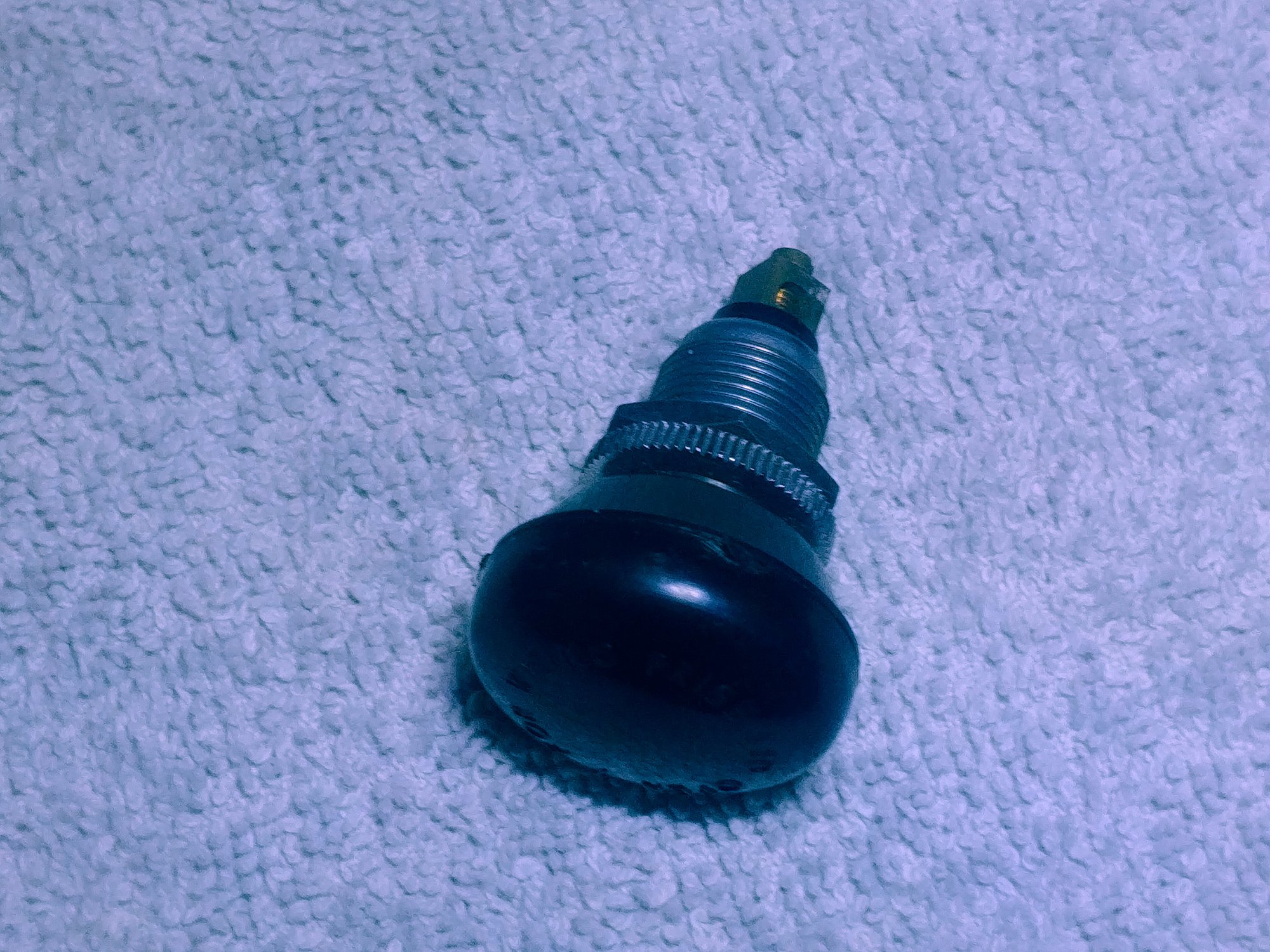 20190615_234639.jpg