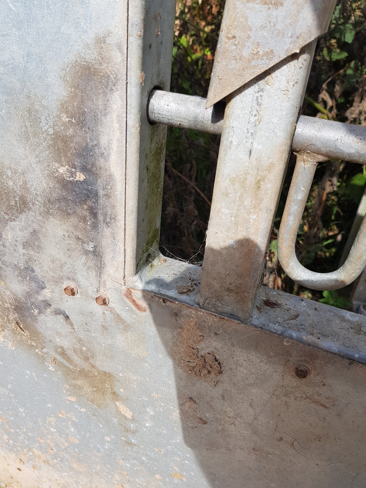 20190718_094535.jpg