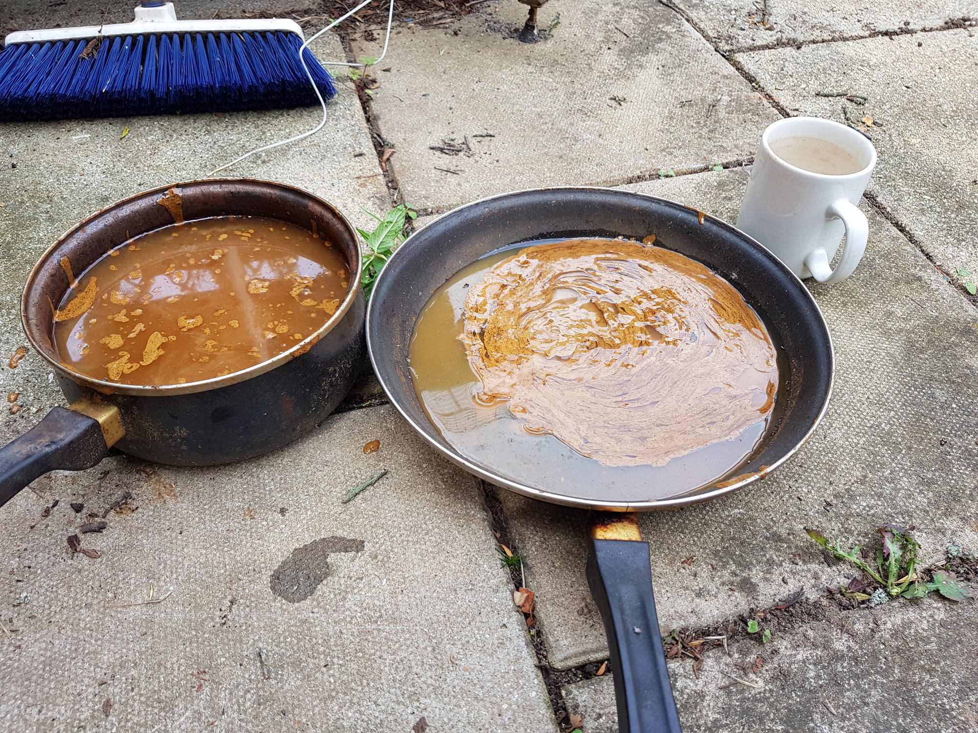 20190803_142519.jpg