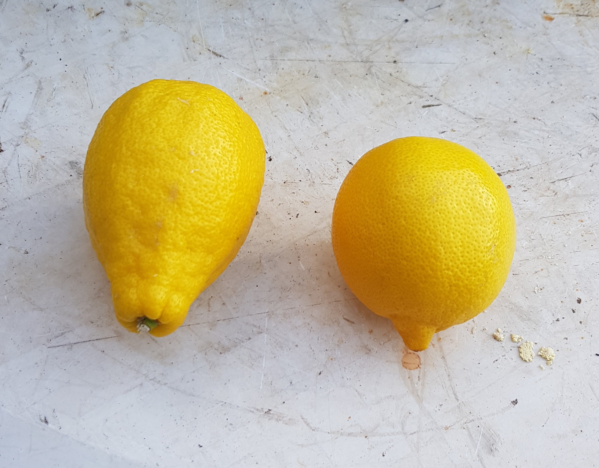 20190829_174402.jpg
