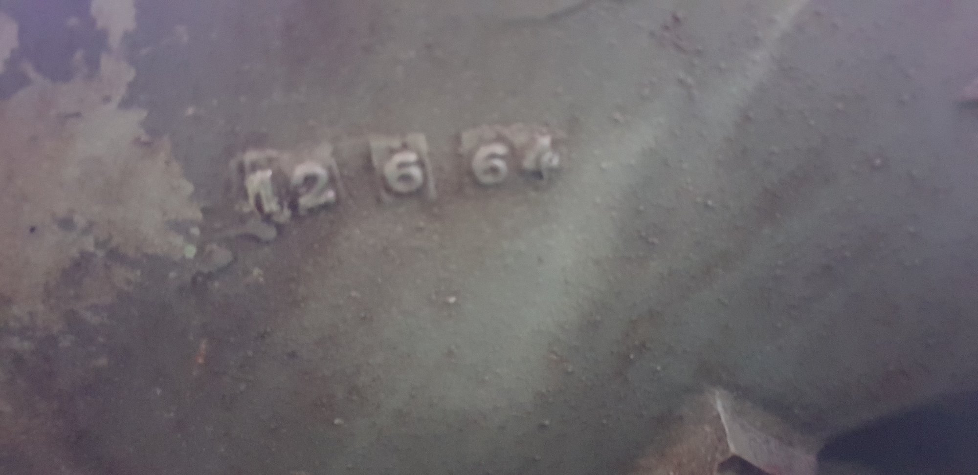 20190830_165547.jpg