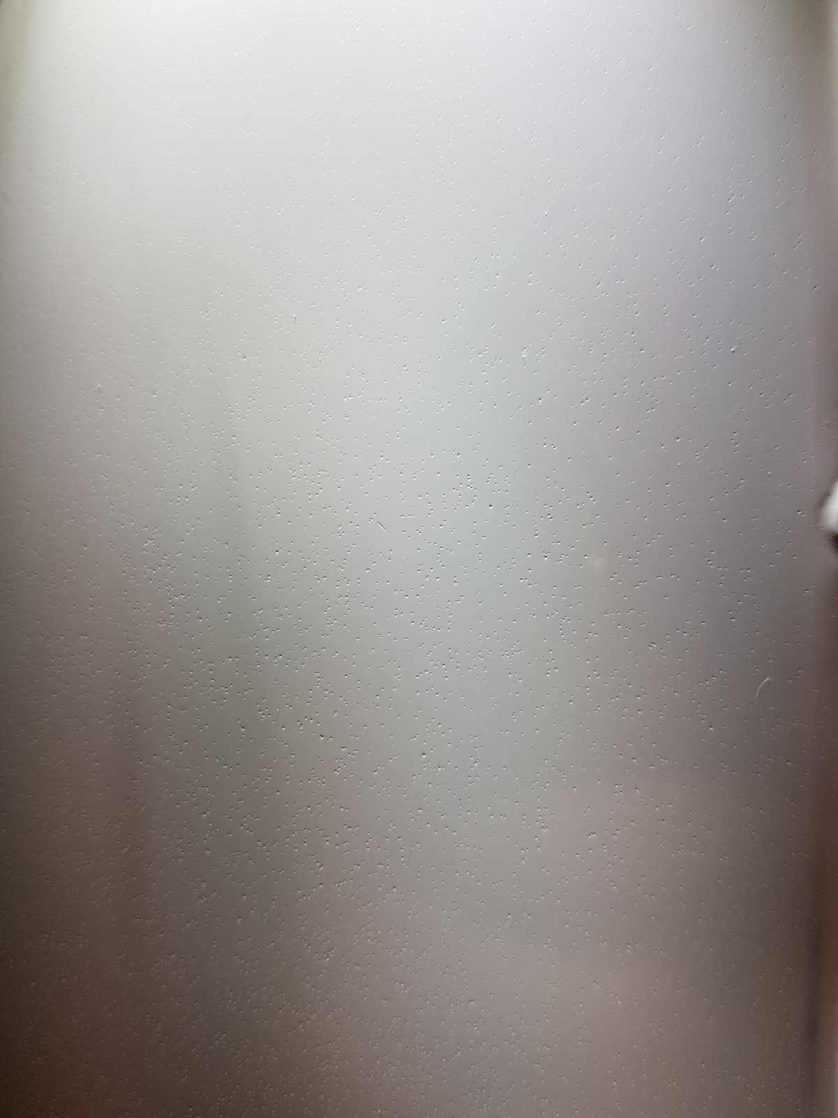 20190906_120152.jpg
