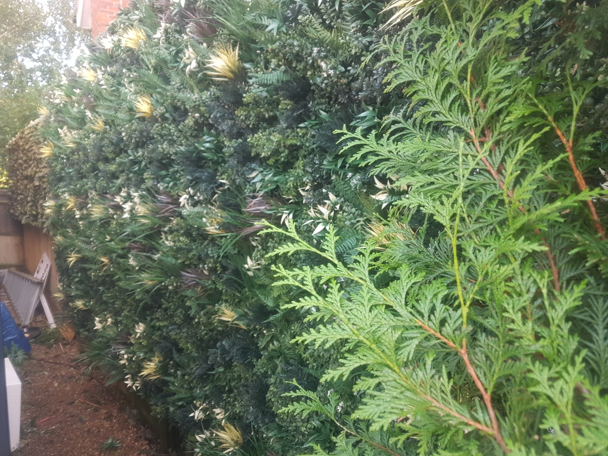 20191015_171430.jpg