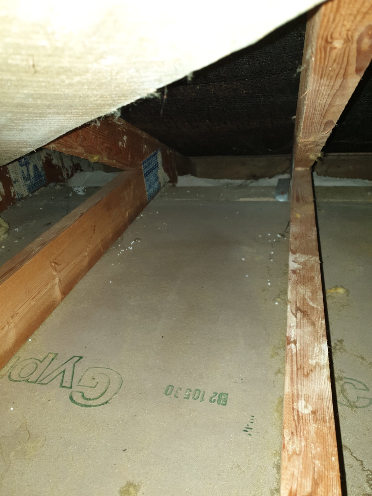 20191020_102150.jpg