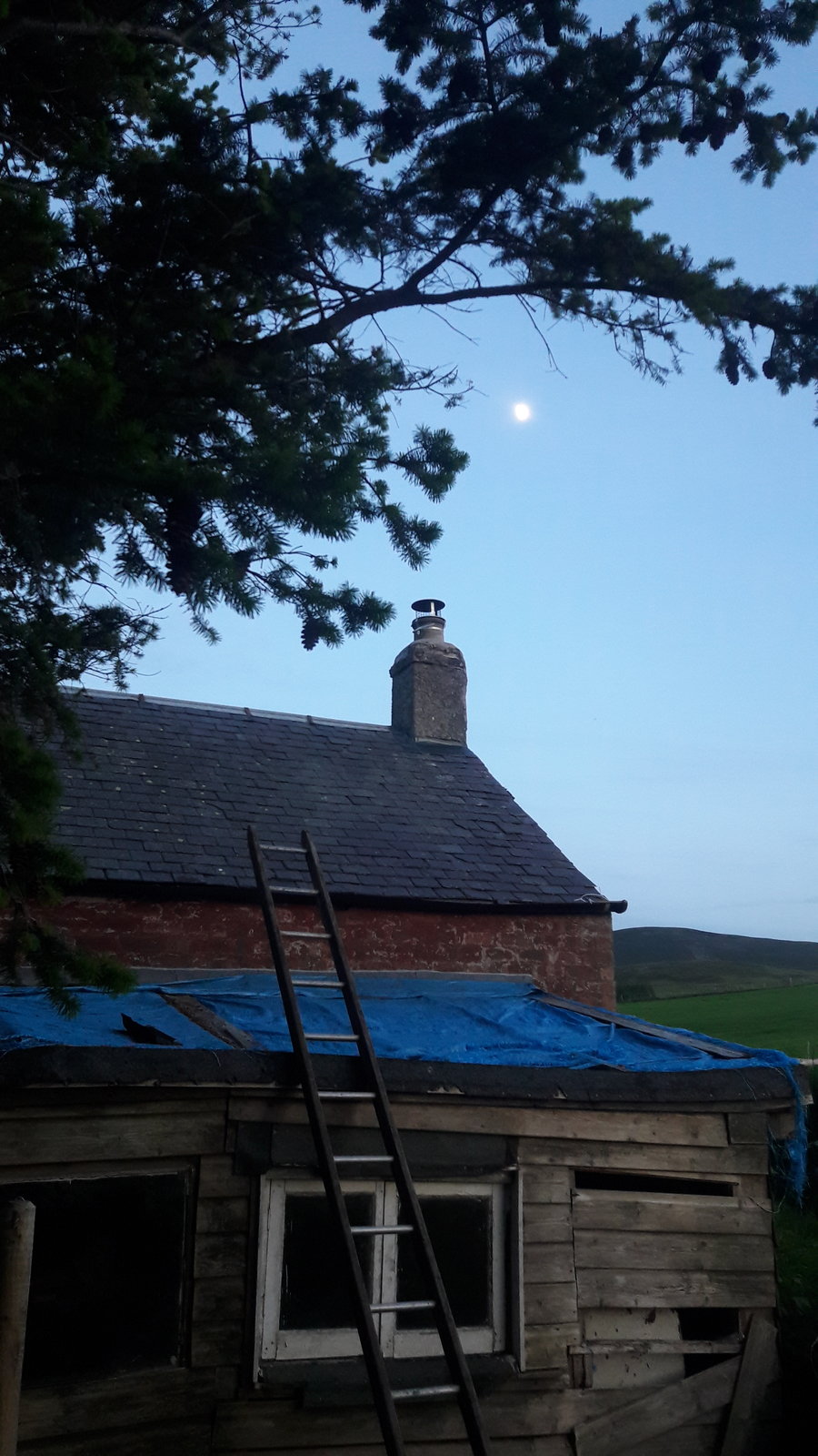 20200601_220132.jpg