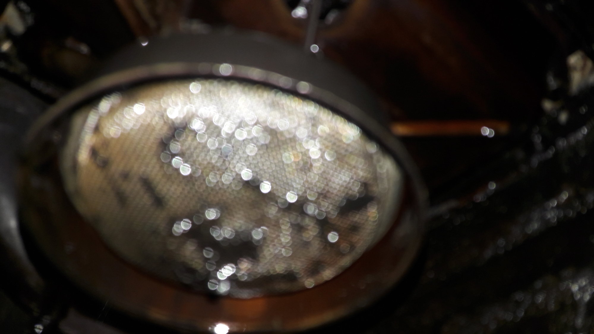 20200814_195952.jpg