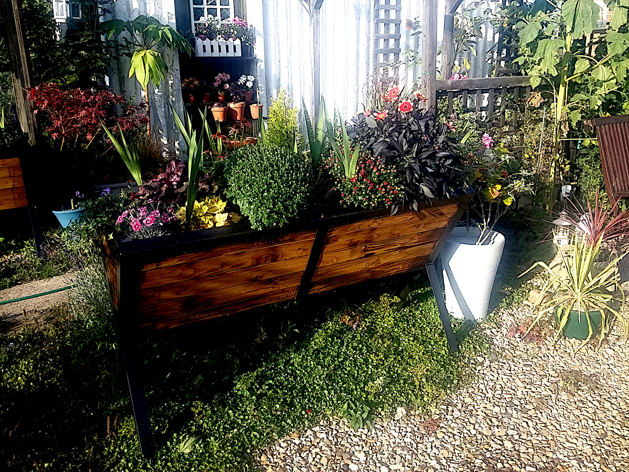 20200919_170048.jpg
