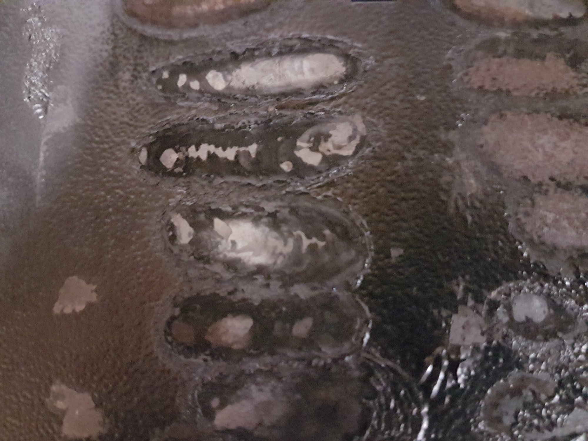 20200919_202923[1].jpg