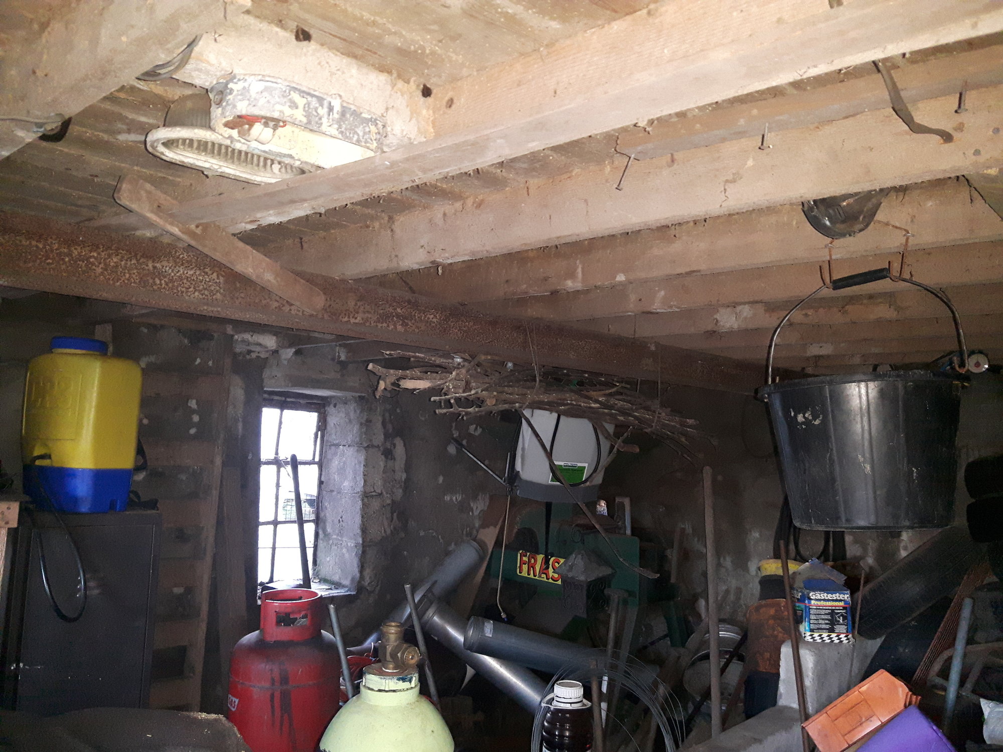20201215_145033.jpg