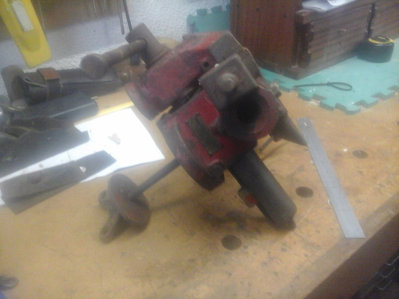 20210214_104242.jpg