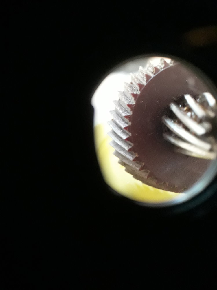 20210829_180131.jpg