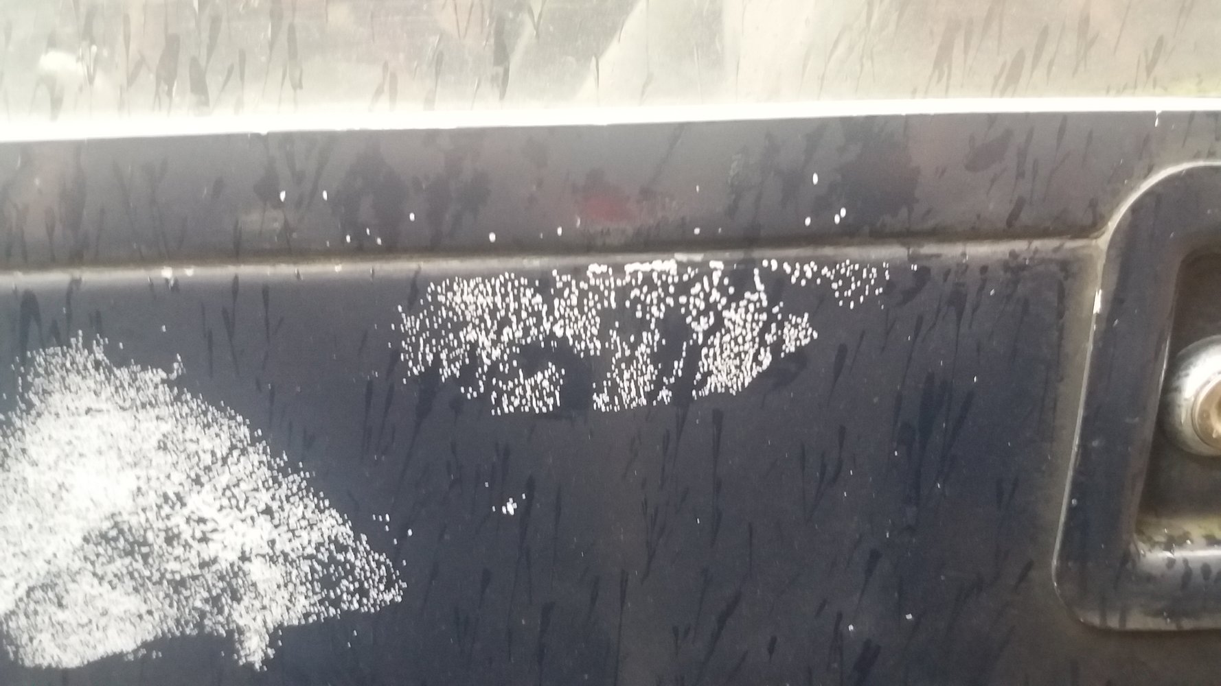 20211230_122112.jpg