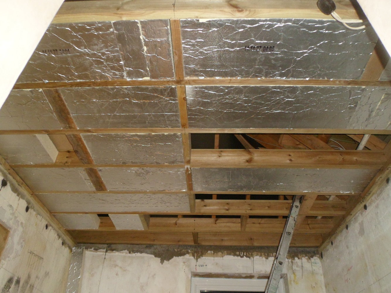 2022-09-09_06-42-52.jpg