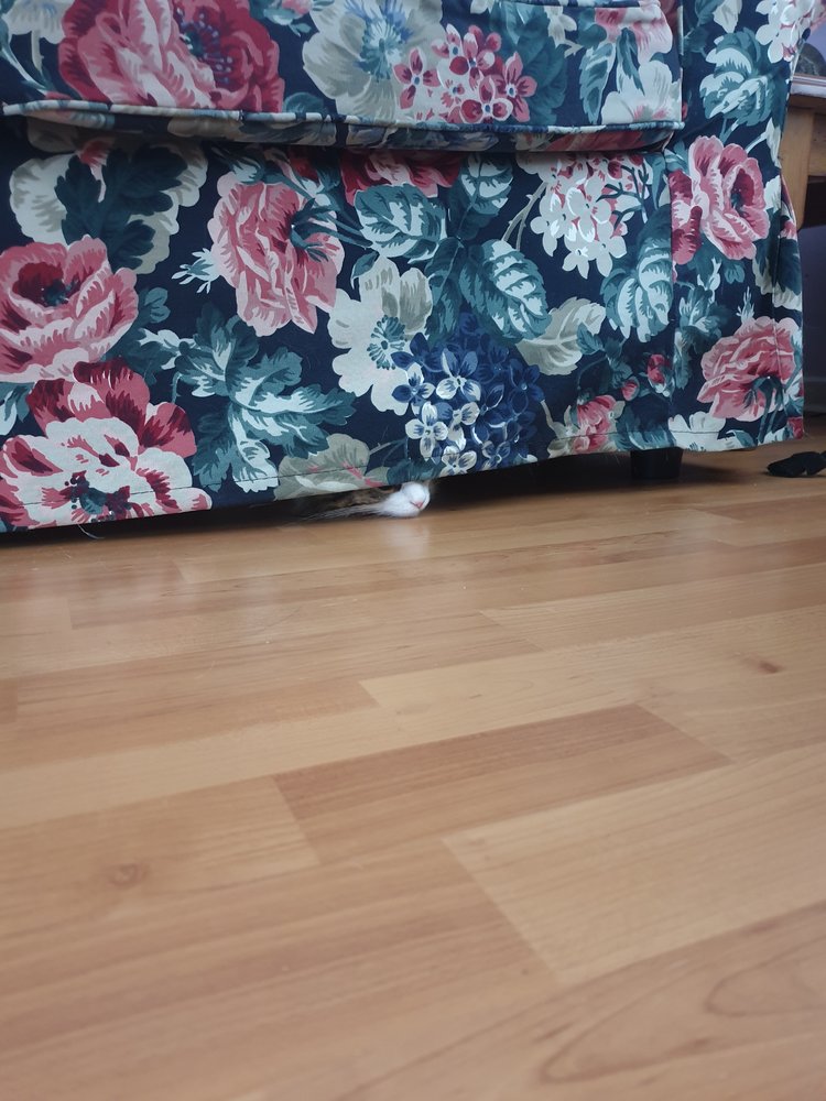 20220213_130619.jpg