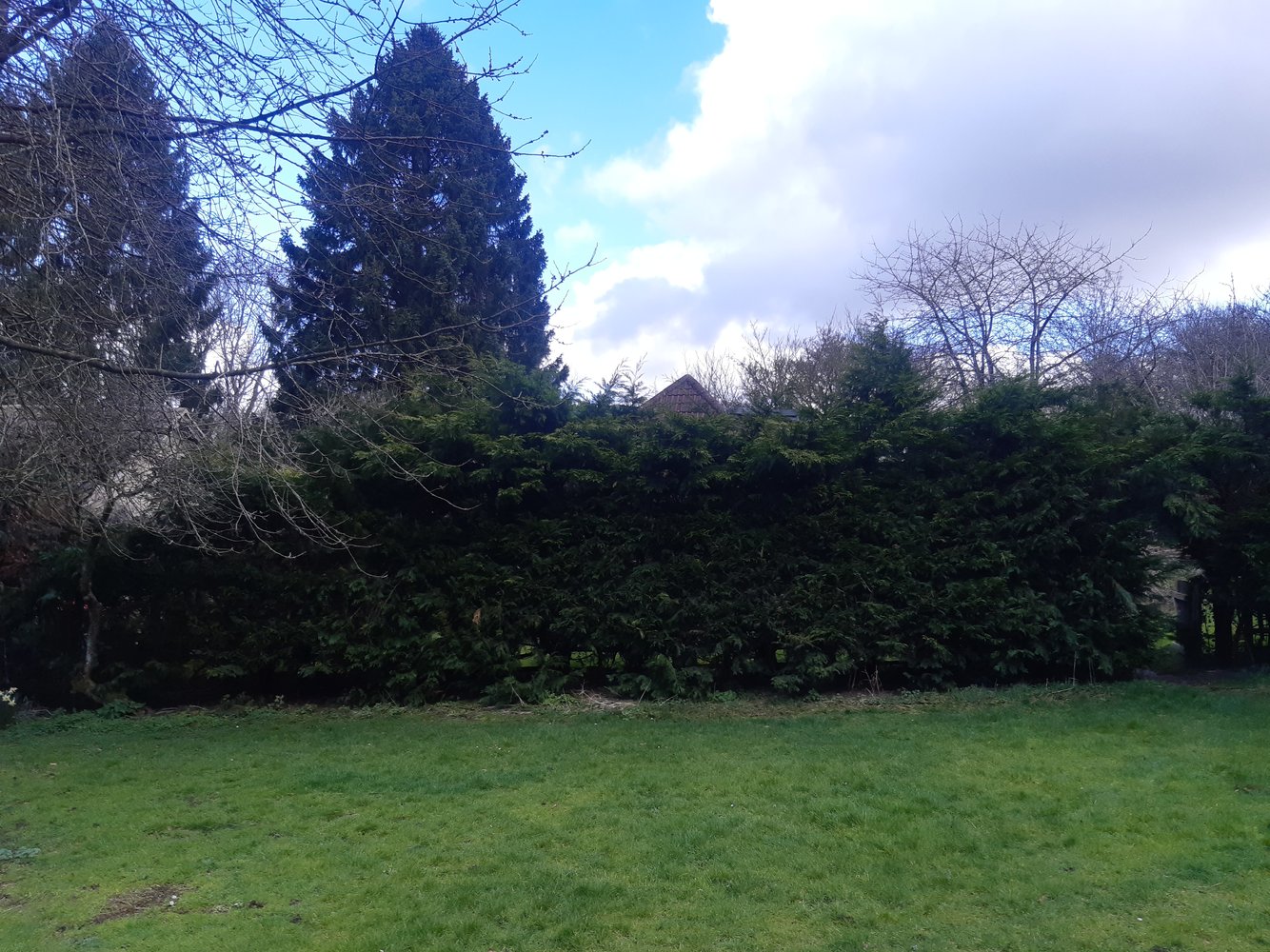 20220312_114132.jpg