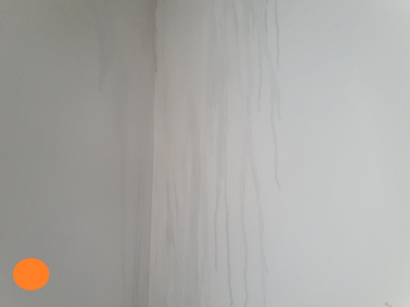 20220405_161837.jpg