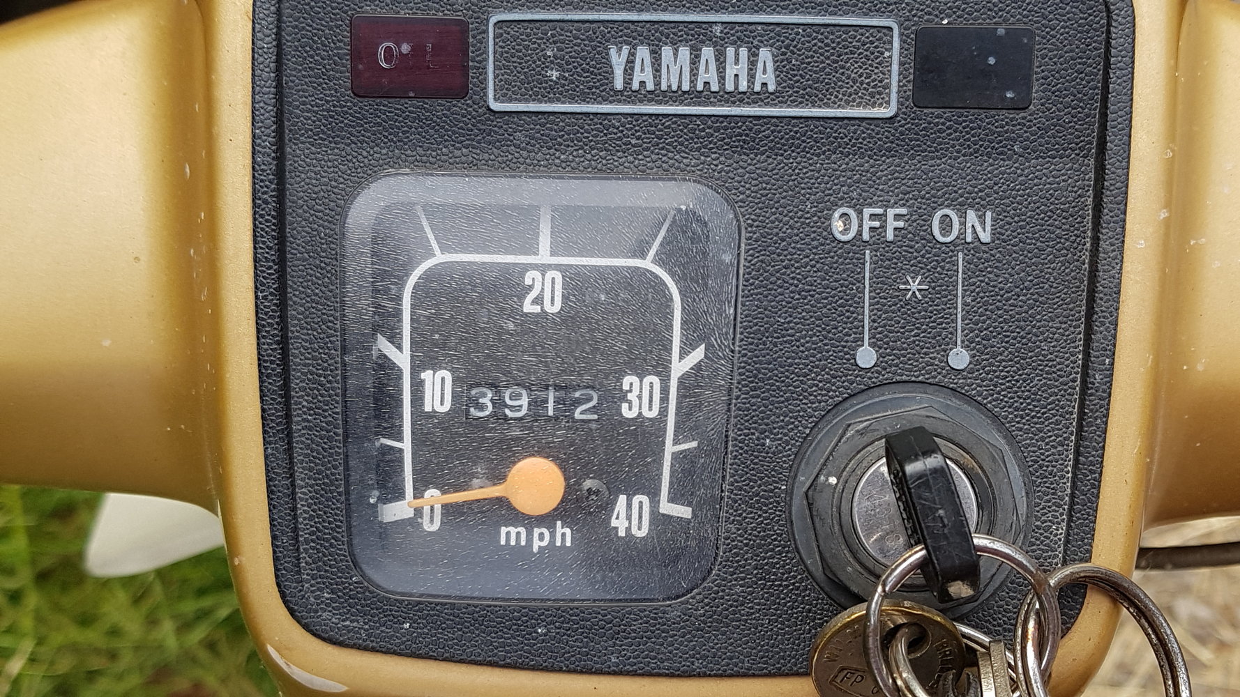 20220623_162852.jpg