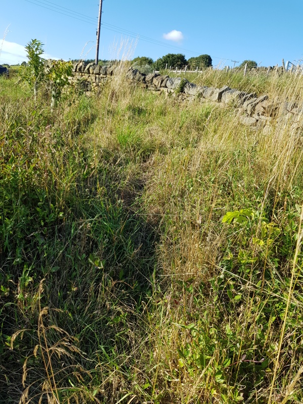 20220808_181523-01.jpeg