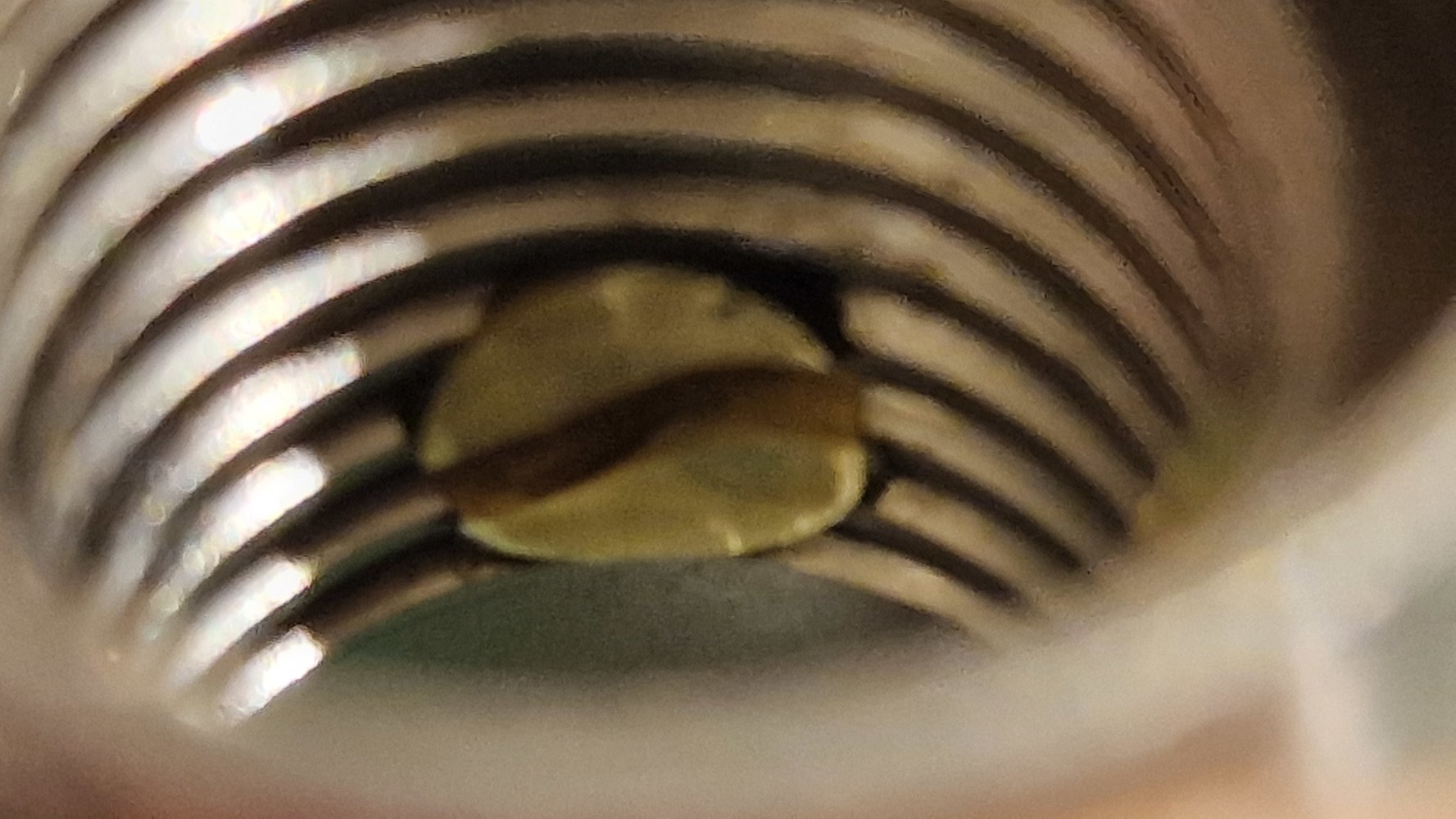 20230102_021319.jpg