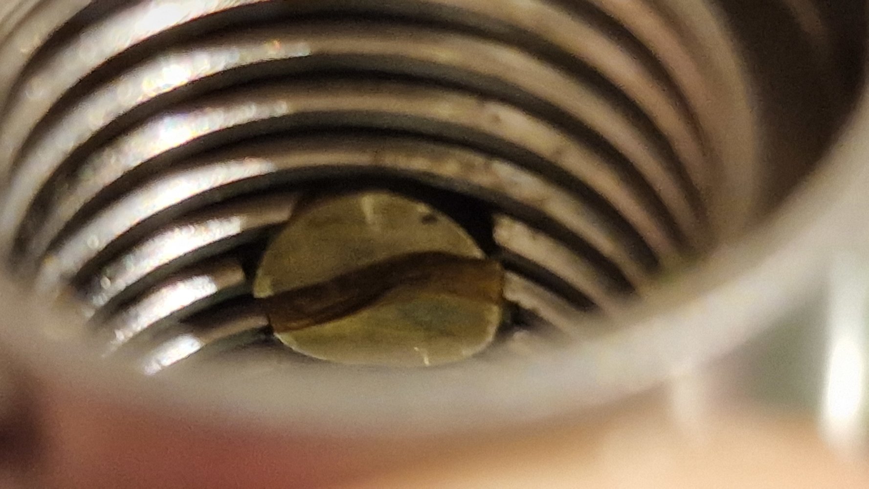 20230102_021324.jpg