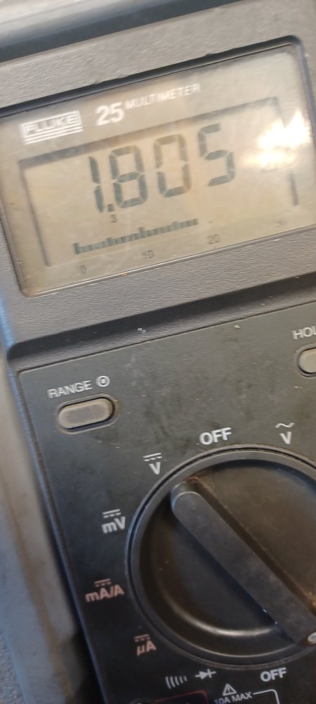 20230310_121637.jpg