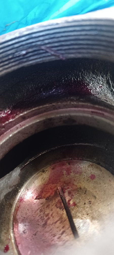 20230318_121851.jpg