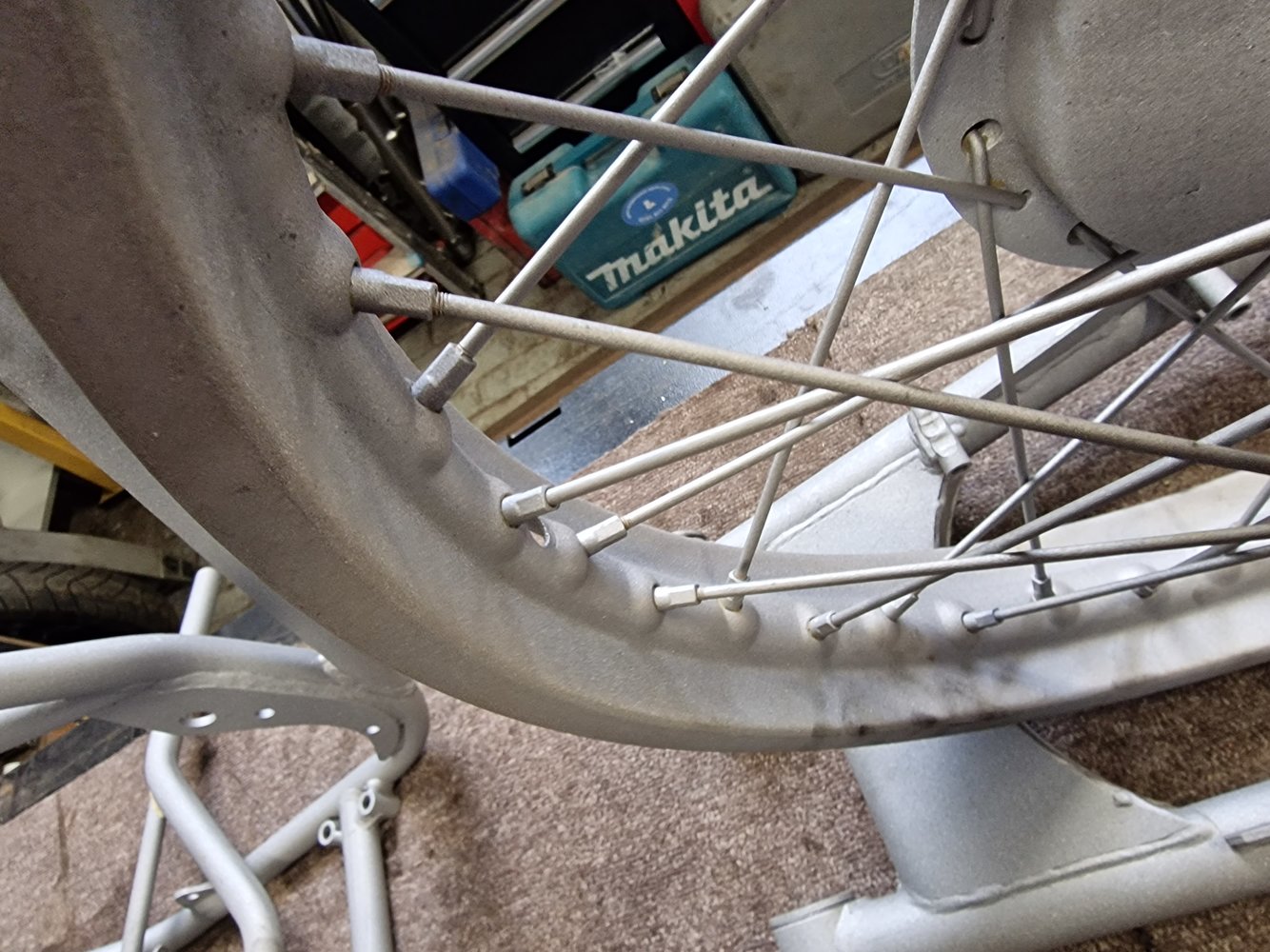 20230419_104544.jpg
