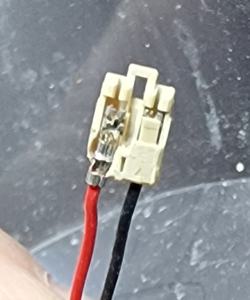 20240305_142051.jpg