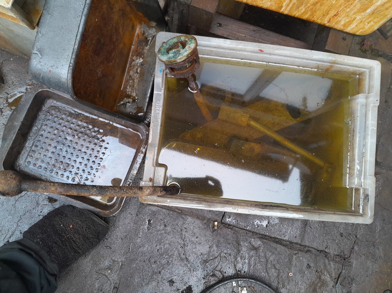 20241230_122319.jpg
