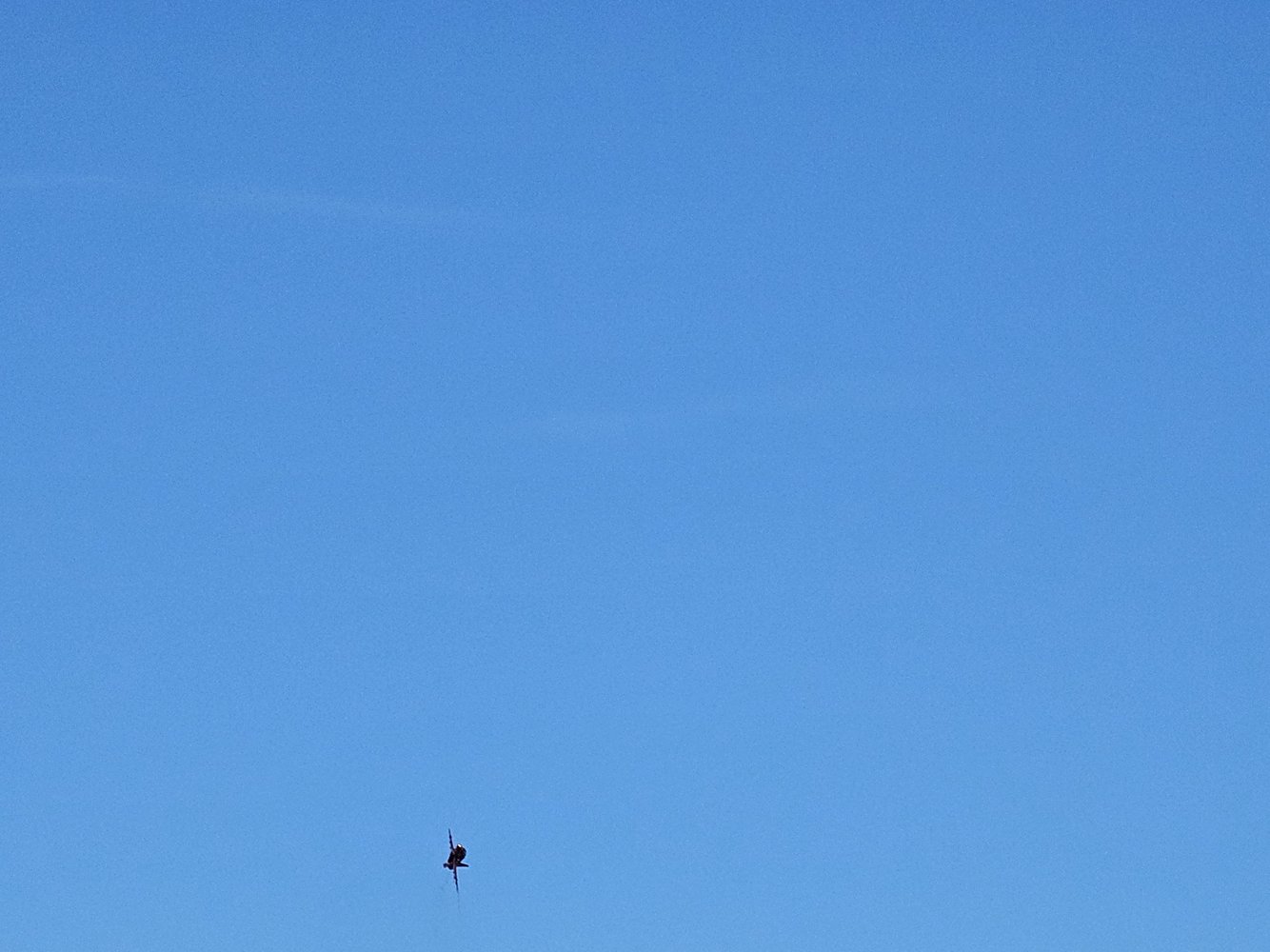 20250225_123735.jpg