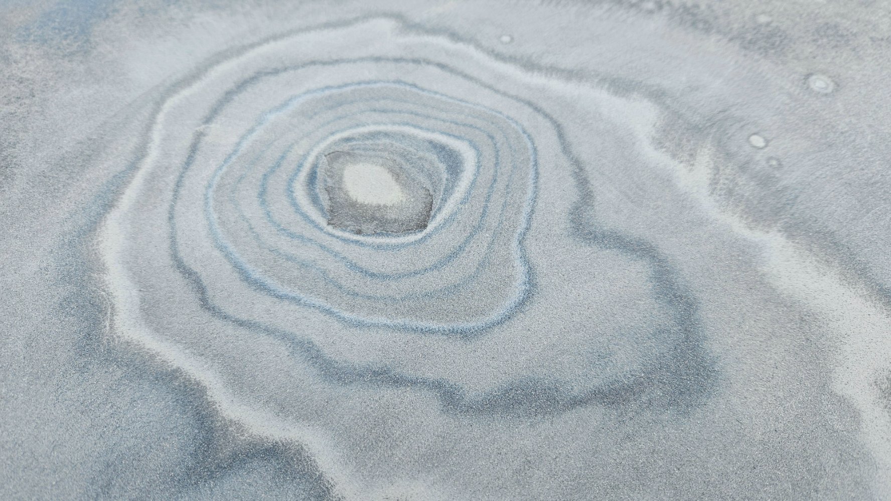 20250409_190003.jpg