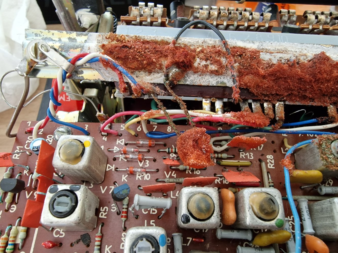 20250521_190703.jpg