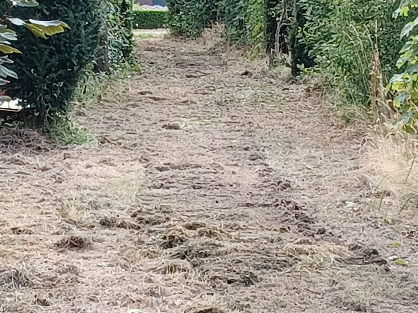 20250708_191223.jpg