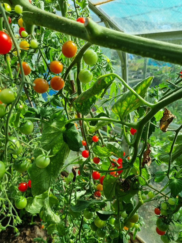 20250906_133522.jpg