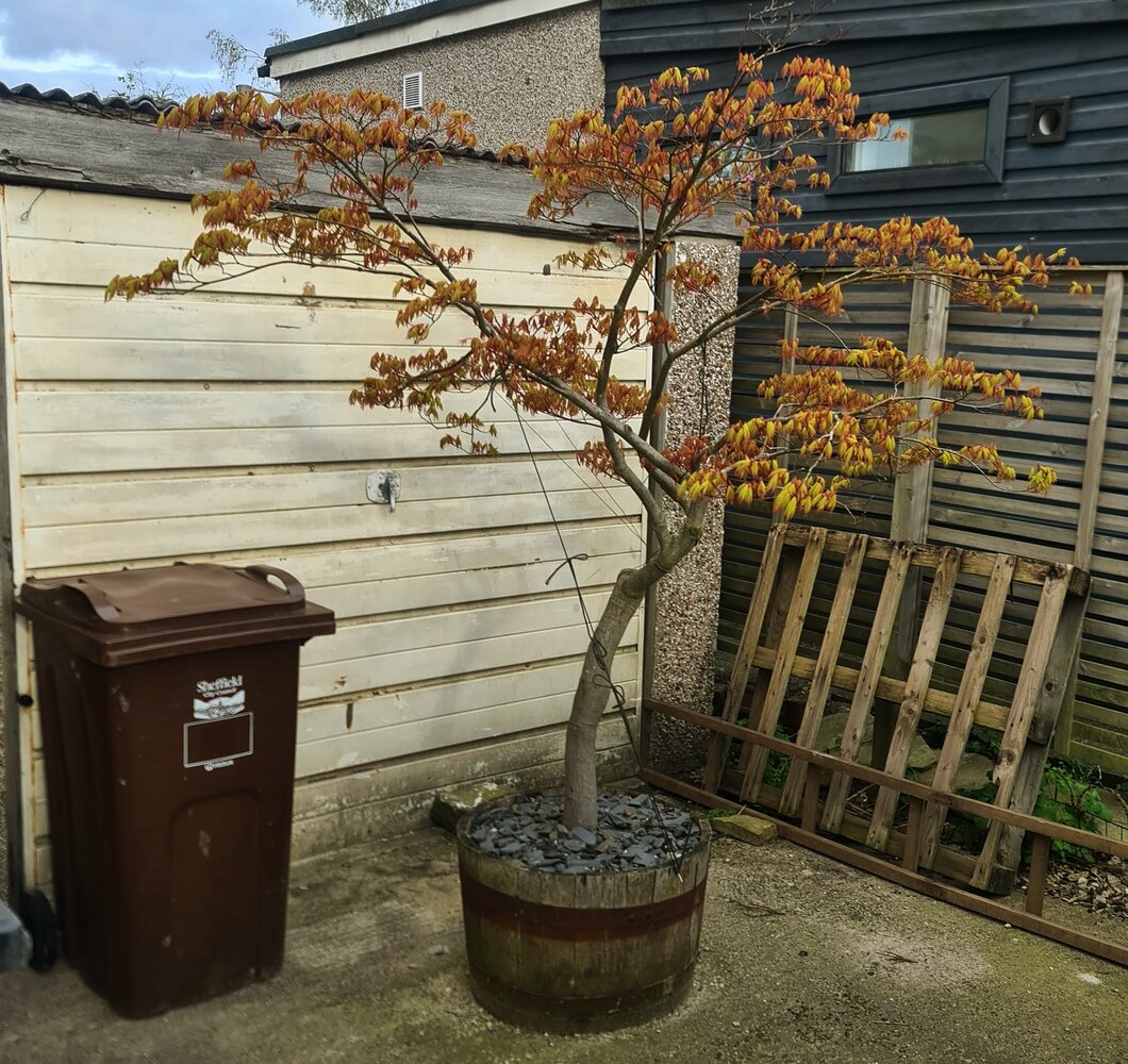 20260416_174634 (1).jpg