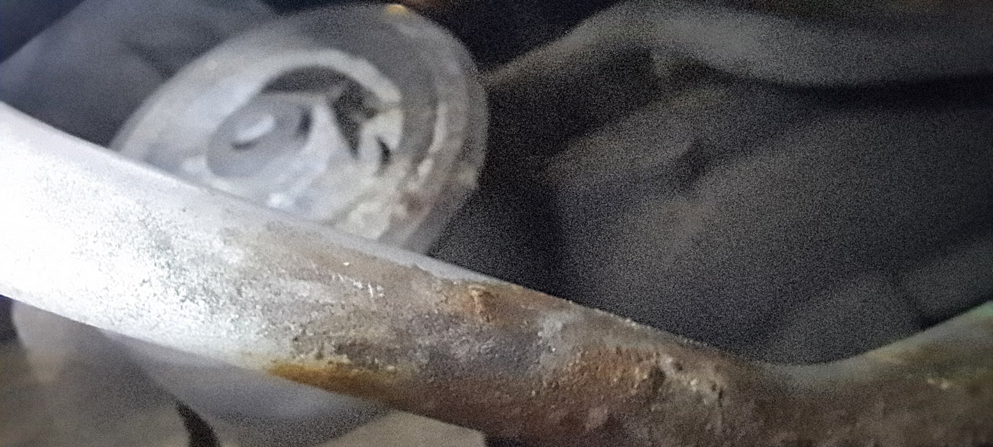 20260430_185114.jpg