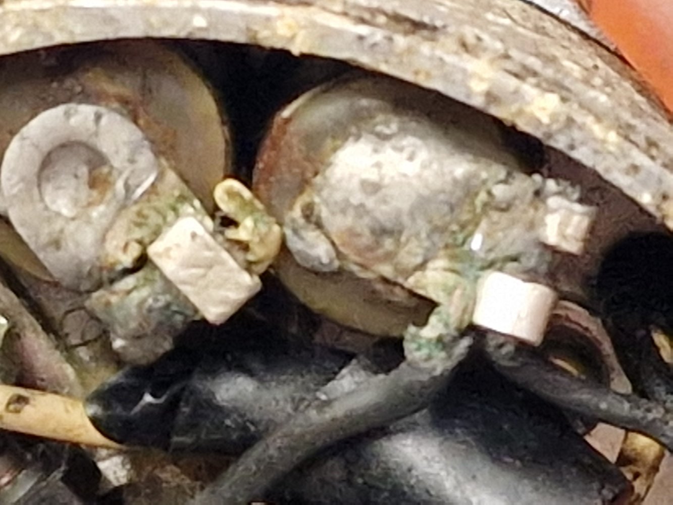 20260501_133527.jpg
