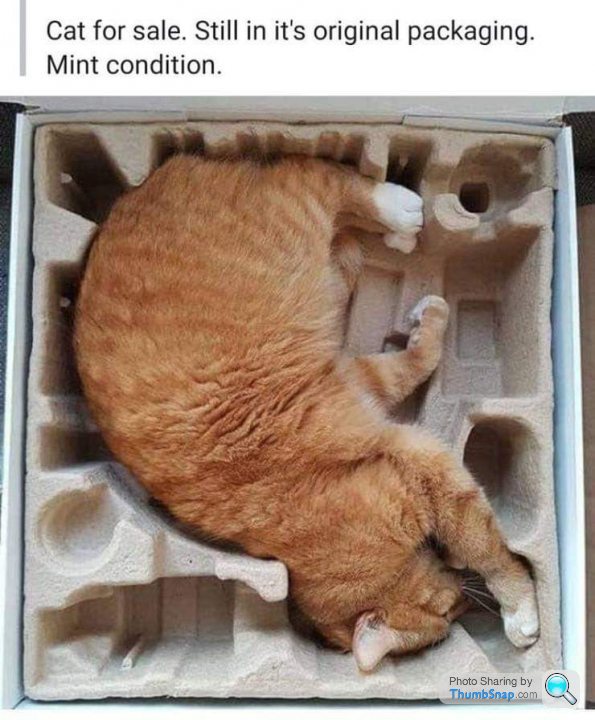 4J1aFJ3C.jpg