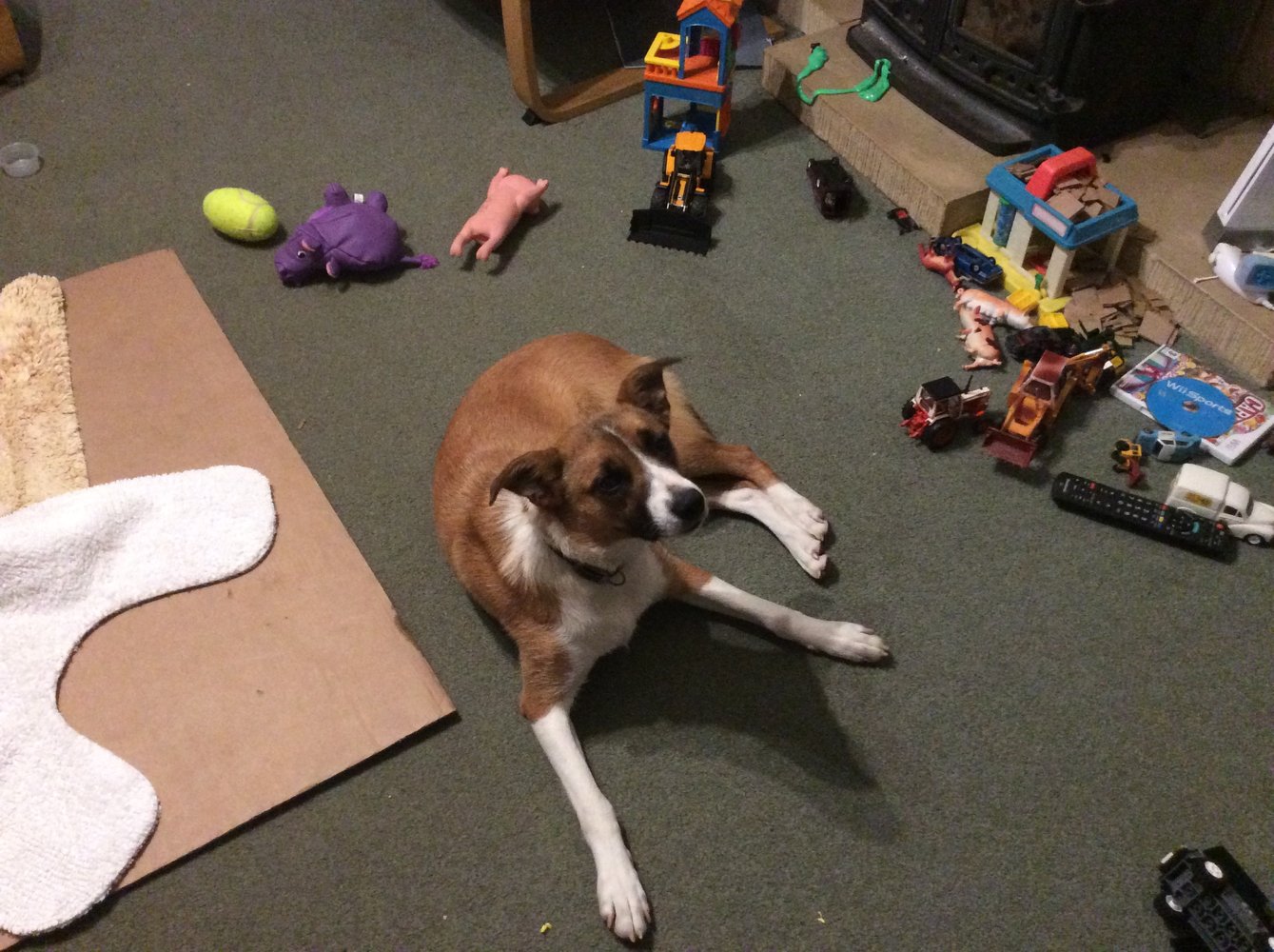 5093BD06-B8FF-4637-98E8-2201A4F9E300.jpeg