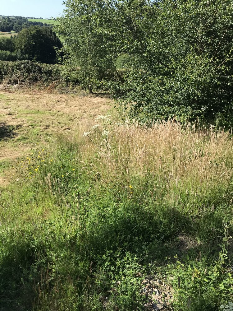 6D293560-1327-4004-9AEB-07F284EC2D28.jpeg