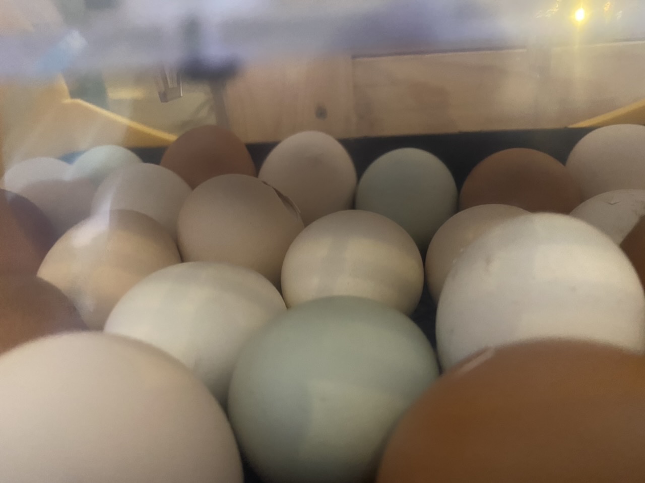8D203570-905C-49C4-90E0-980AF1E8952D.jpeg