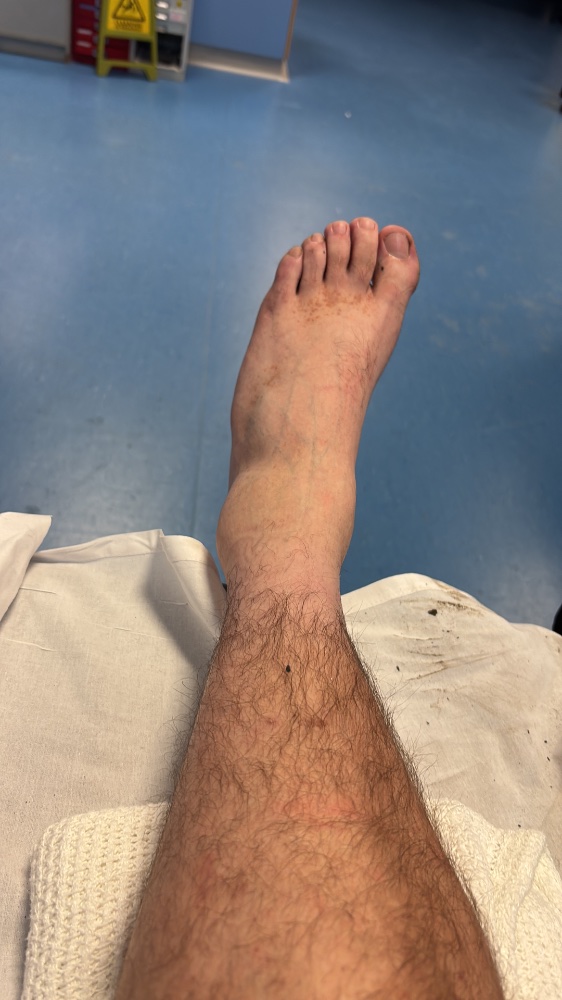 926247E2-2899-4DCA-B4DE-9BA9429B130B.jpeg
