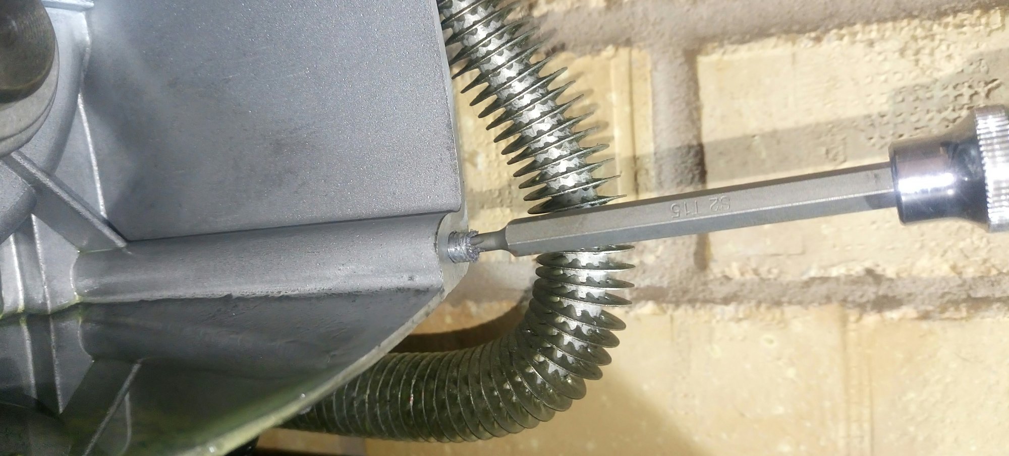 _20190323_171032.JPG