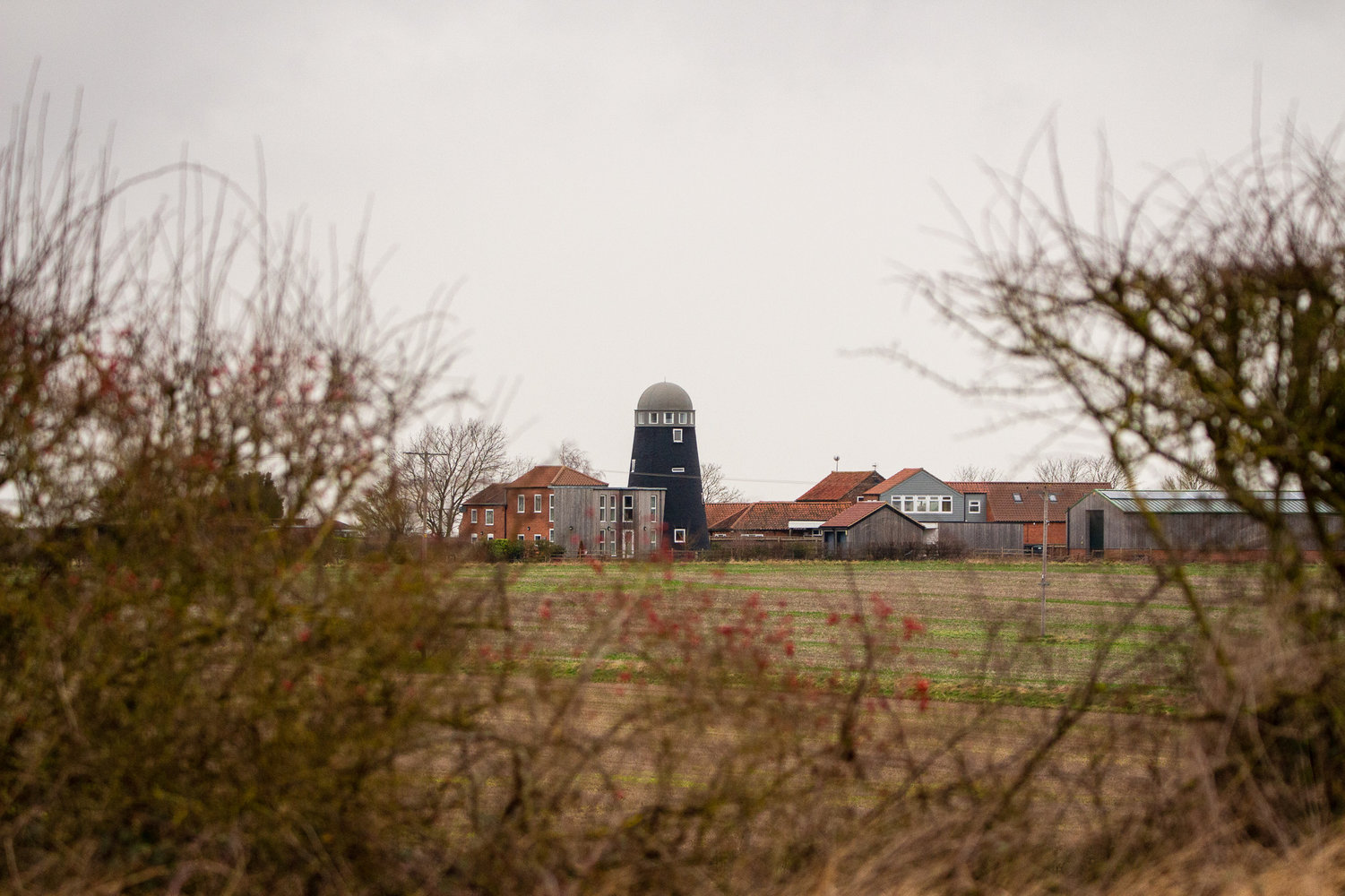 _MG_9081.jpg