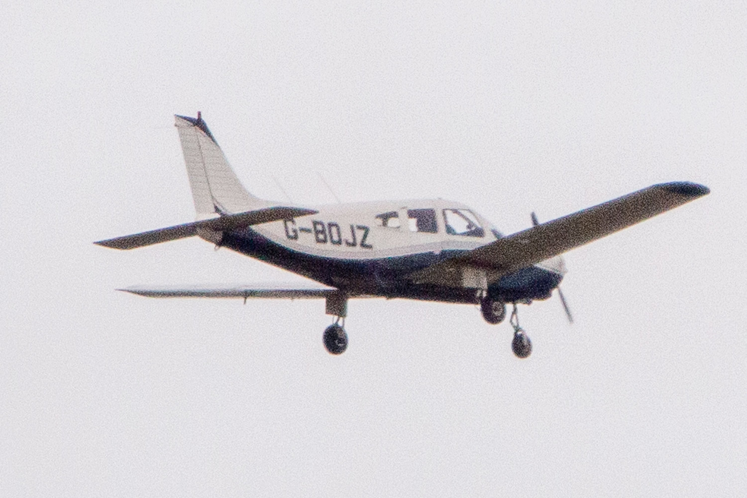 _MG_9172.jpg