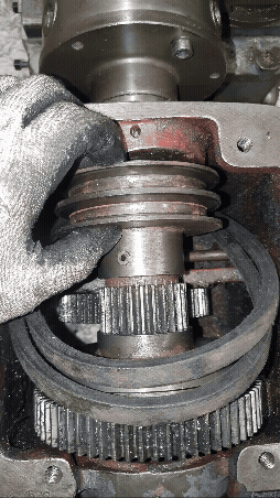 Adobe Express - 20260110_154221.gif